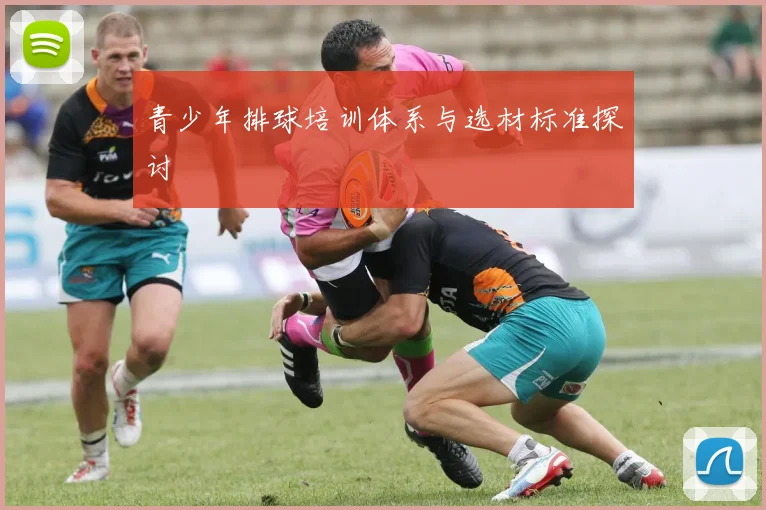 青少年排球培训体系与选材标准探讨