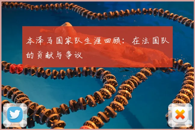 本泽马国家队生涯回顾：在法国队的贡献与争议